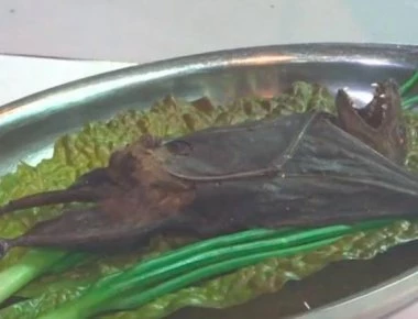 Αυτά είναι τα πιο αηδιαστικά φαγητά του κόσμου - Αντέχεις να δεις το βίντεο;